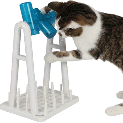 Cat Activity Turn Around Toy