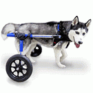 Walkin' Wheels Dog Wheelchairs