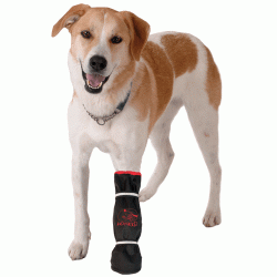 MediPaw Healing Slim Protective Veterinary Dog Boots