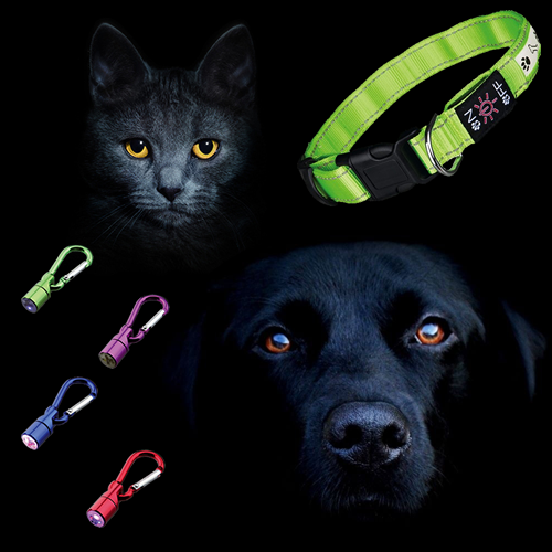Safer Life Flasher for Cats and Dog and the Safer Life Flash Light Collar