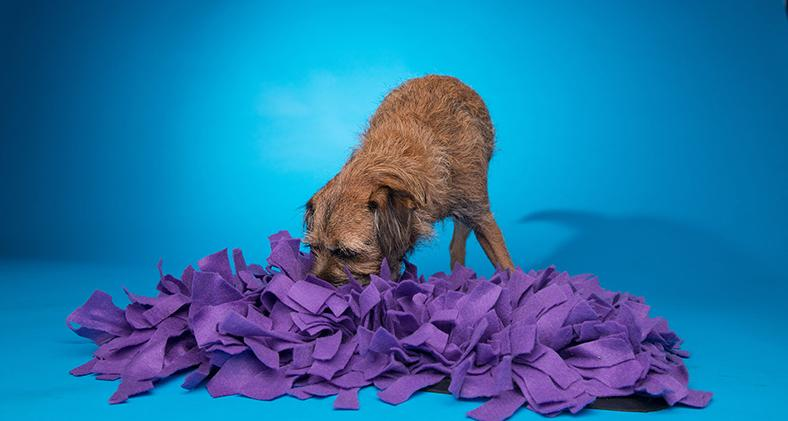 Make your own Snuffle Mat