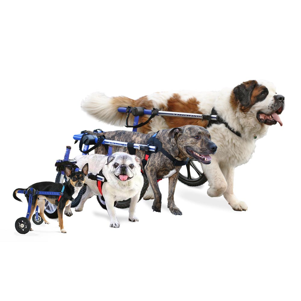 Dog wheelchairs
