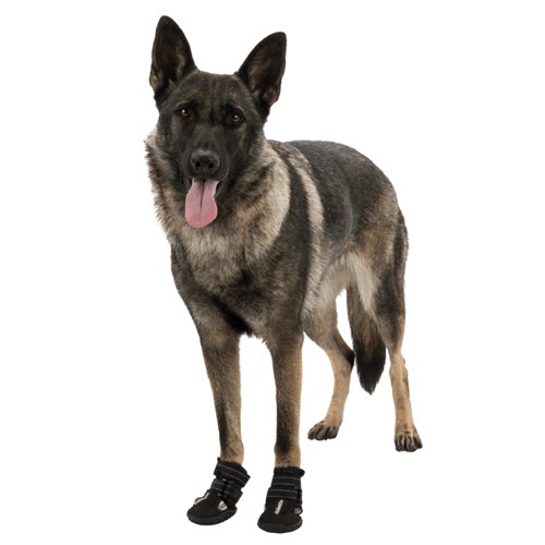 Protective Boots for large dogs