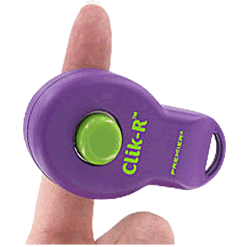 Clik-R with finger band