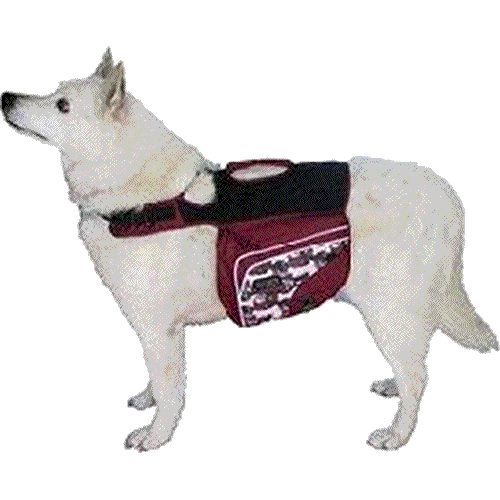 Outward Hound Excursion Backpack