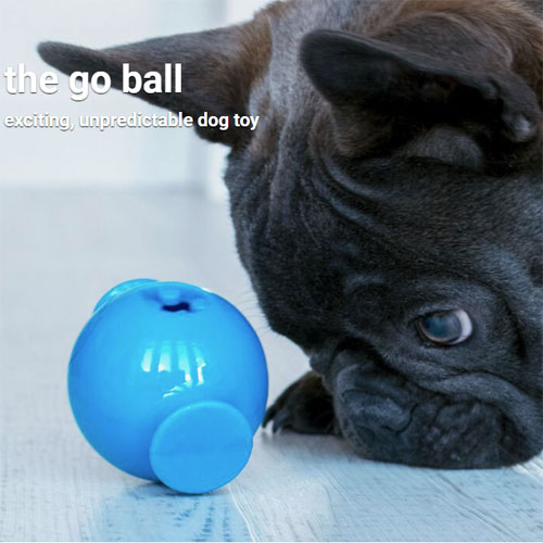 HING Treat Dispensing Balls are unpredictable!