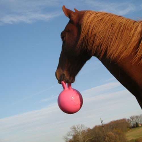Jolly Pets 10-Inch Horse Jolly Ball Bubble Gum Scented 