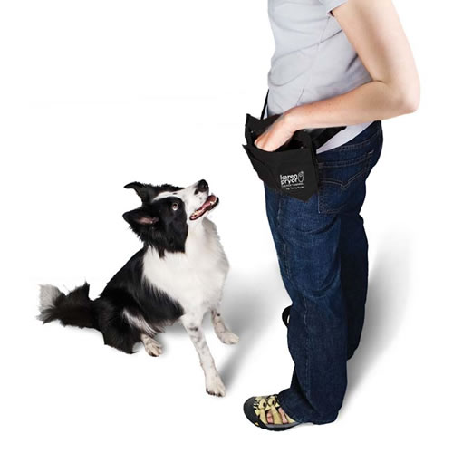 Terry Ryan Treat Bag by Karen Pryor is an ideal dog training treat bag