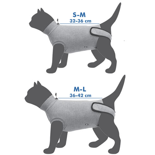 Measuring for a Trixie Protective Body Suit for Cats