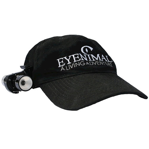 Eyenimal Dog Videocam