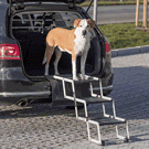 Dog Ramps and Steps