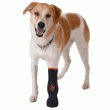 Vetgood Basic Protective Veterinary Dog Boots