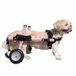 Walkin' Wheels Rear Only Dog Wheelchair Small