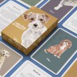 Calm Dog Games for Canine Mental Wellbeing