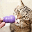 Kitty KONG Treat Dispensing Toy for Cats