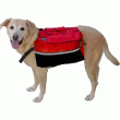 Outward Hound Quick Release Dog Backpack