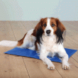 Trixie Cooling Mat for Dogs