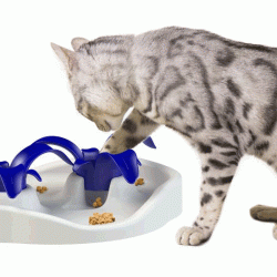 Aikiou Thin Kat Interactive Puzzle Feeder for Cats