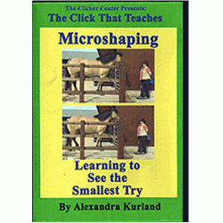 DVD Lesson 10: Microshaping by Alexandra Kurland