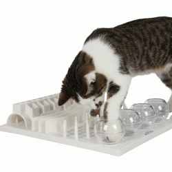 Cat Activity Fun Board Interactive Toy