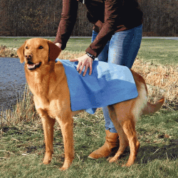PVA Pet Towel from Trixie