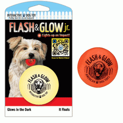 Flash n Glow Illuminated Ball for Dogs