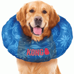 KONG Cushion Inflatable Collar
