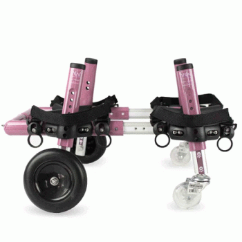 Walkin' Wheels Full Support Dog Wheelchair Small Pink