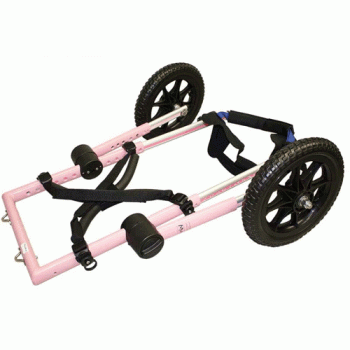 Walkin' Wheels Dog Wheelchairs fold flat