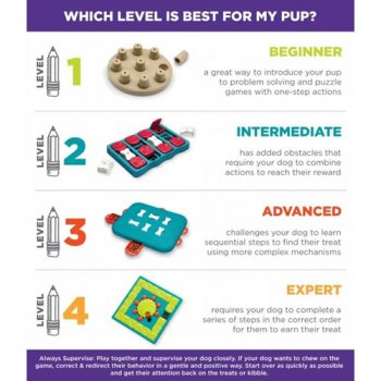Which level is best for my dog?