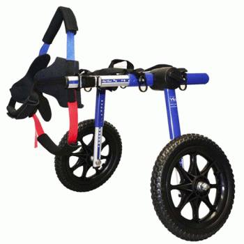 Walkin' Wheels Medium-Large Dog Wheelchair Blue