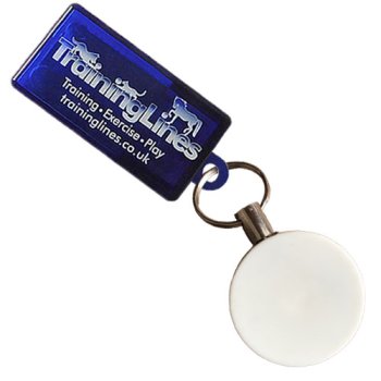 Tabbed Translucent Clicker with Retractable
