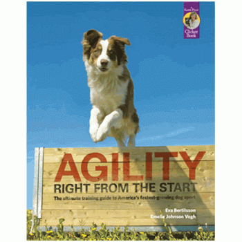 Agility Right From The Start