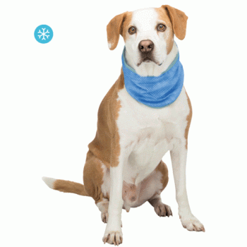 Trixie Cooling Bandanna for Dogs