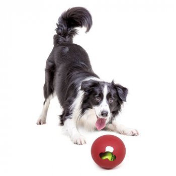 For dogs who love tennis balls