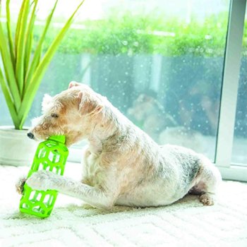 Playtime never stops with the Hol-ee Roller Bottle Toy