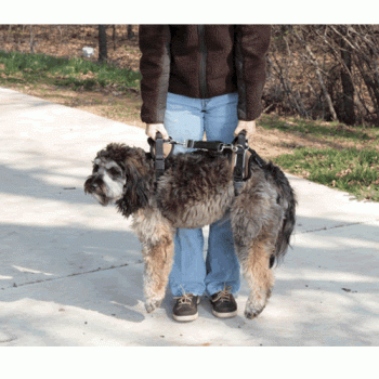Solvit CareLift Full Body Lifting Harness for Dogs