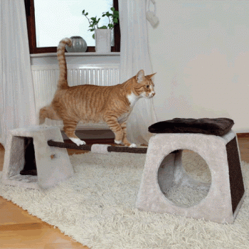 Cat Agility Balancing Set by Trixie