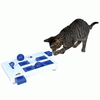 Cat Activity Brain Mover Strategy Game