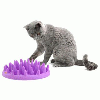 Catch Interactive Slow Feeder for Cats