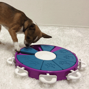 Nina Ottosson Dog Twister Interactive Toy (Plastic)