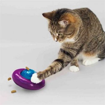 KONG Gyro Catnip Cat Toy