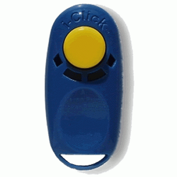 i-Click button clicker
