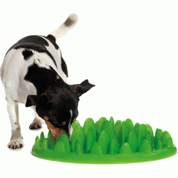 Green Interactive Feeder Dog Bowl