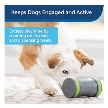 Keeps dogs engaged
