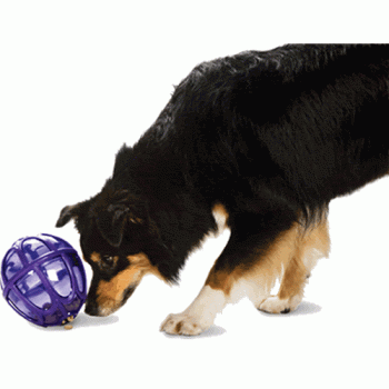 Kibble Nibble Ball Treat Dispensing Dog Toy