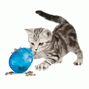 Fun Kitty Egg Cerciser Treat Dispensing Cat Toy