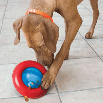 KONG Gyro Treat Dispensing Dog Toy