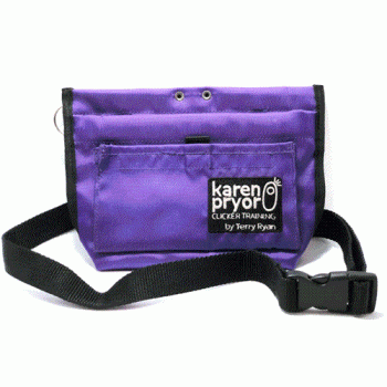 Terry Ryan Treat Bag by Karen Pryor in Purple