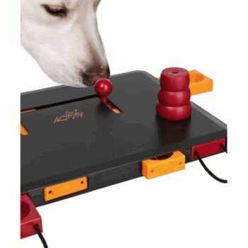 Move 2 Win Dog Activity Toy